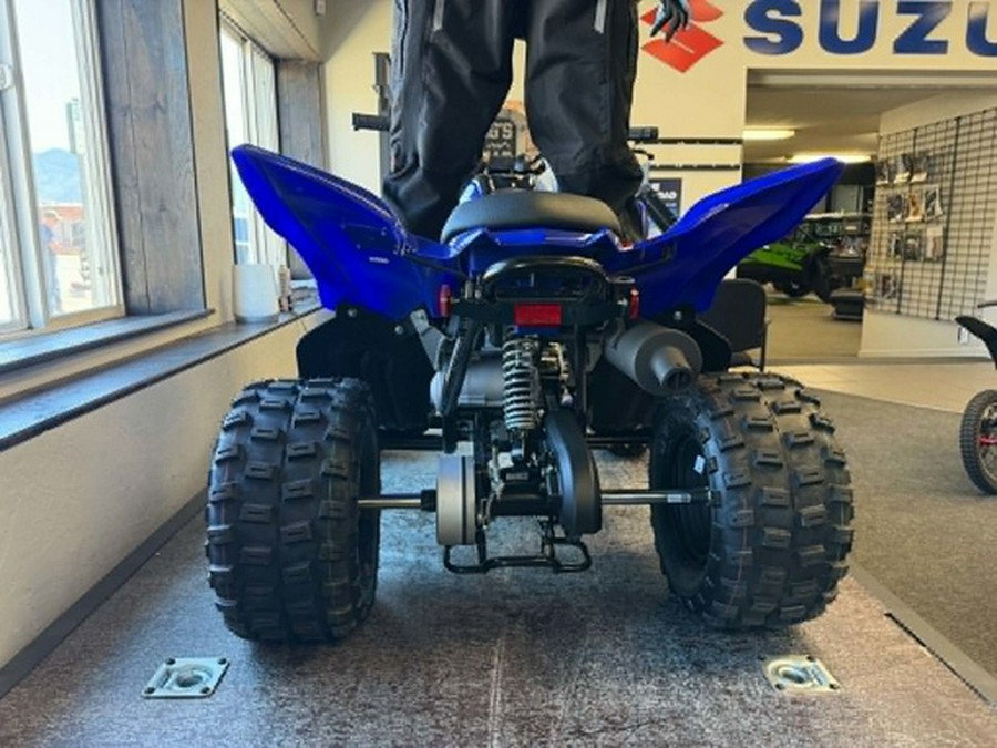 2026 Yamaha Raptor 110