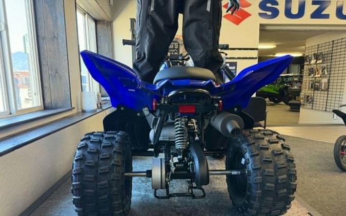 2026 Yamaha Raptor 110
