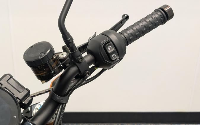 2024 Indian Motorcycle FTR R Carbon