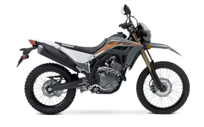 2024 Honda CRF® 300LS