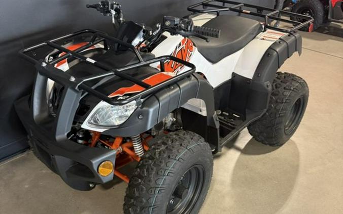 2025 Kayo Bull 150 EFI