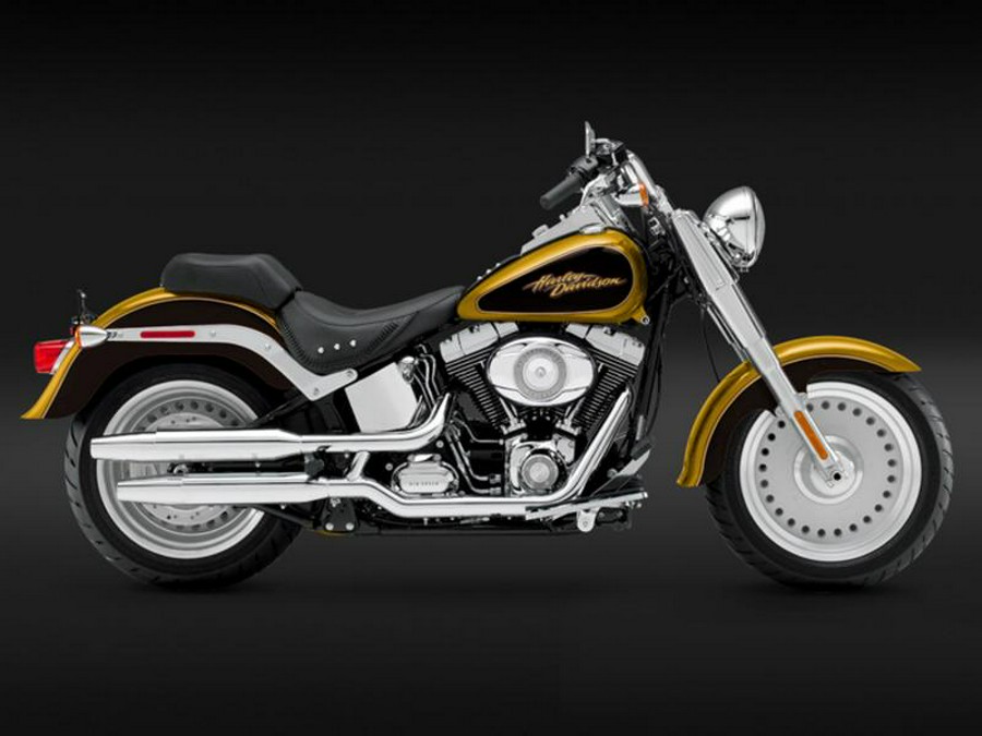 2008 Harley-Davidson® FLSTF - Softail® Fat Boy®