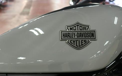 2025 Harley-Davidson Nightster®