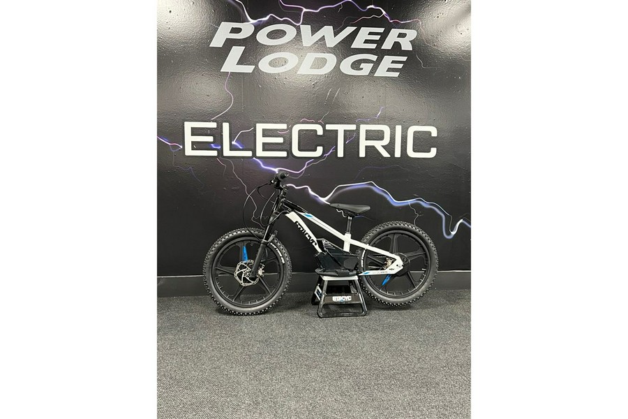 STACYC STACYC 20eDrive Launch Edition