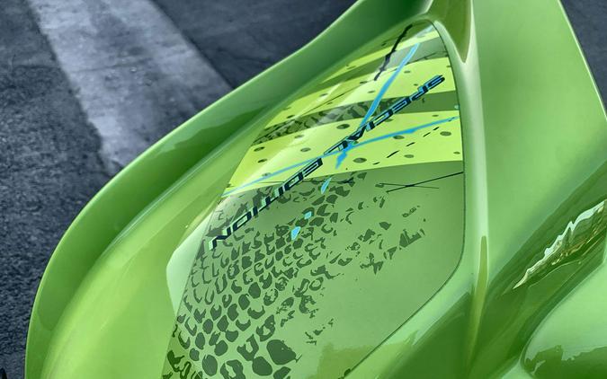 2026 Yamaha RAPTOR 700R SE