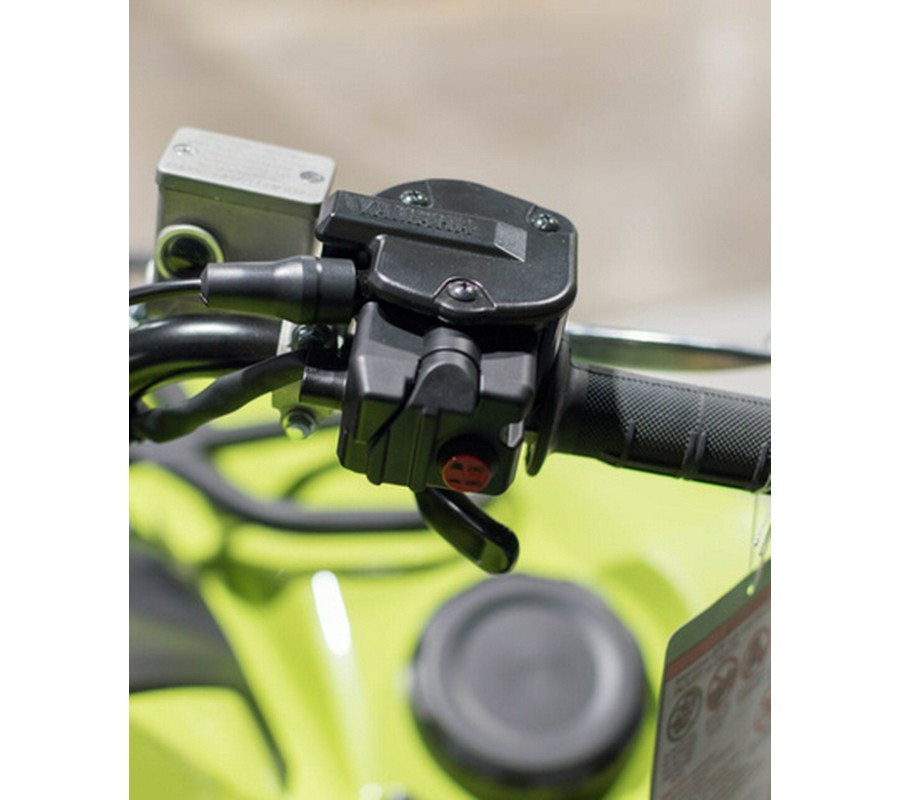 2026 Yamaha Grizzly EPS