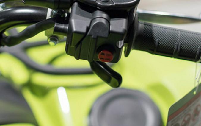 2026 Yamaha Grizzly EPS