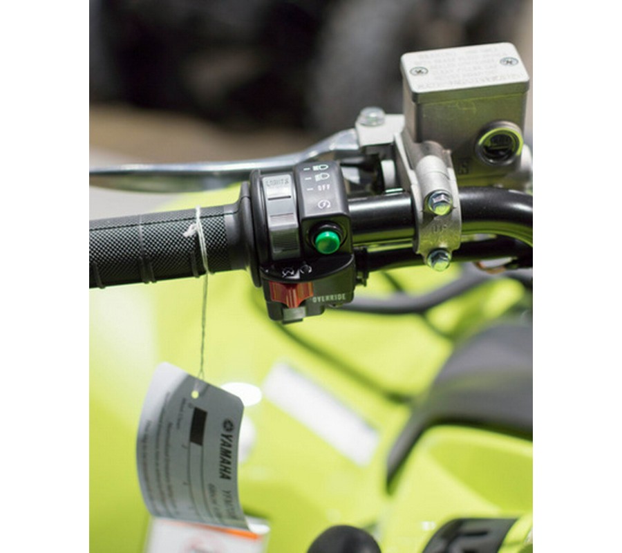 2026 Yamaha Grizzly EPS