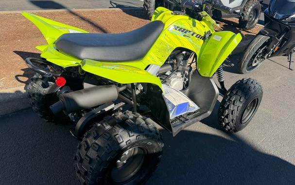 2026 Yamaha Raptor 110