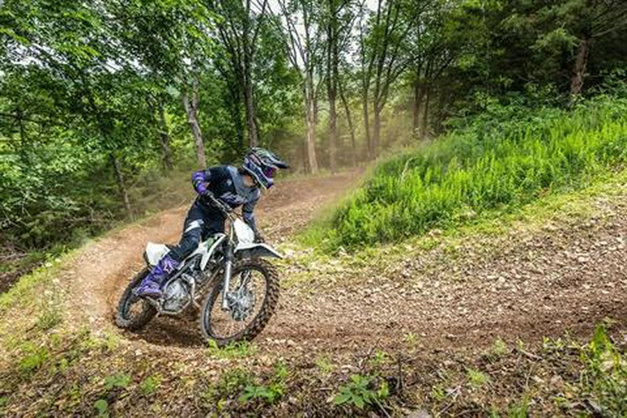 2027 Kawasaki KLX®230R S