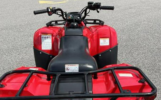 2019 Honda® TRX250TM