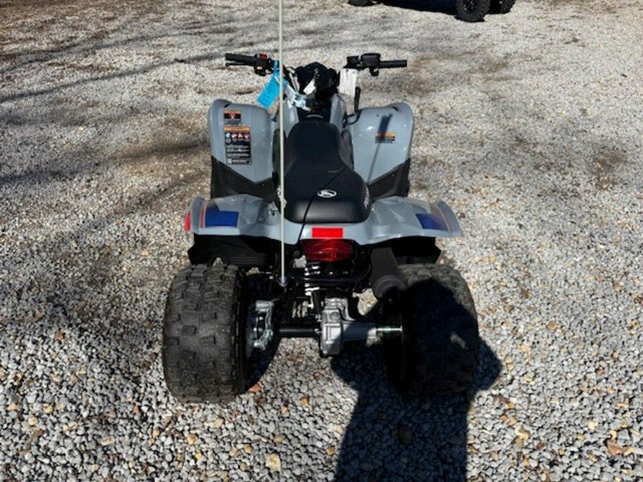 2025 Polaris Phoenix 200