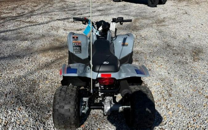 2025 Polaris Phoenix 200