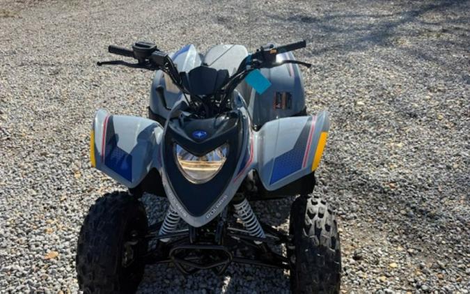 2025 Polaris Phoenix 200