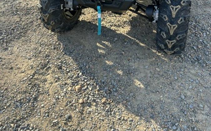 2025 CFMOTO CFORCE 600