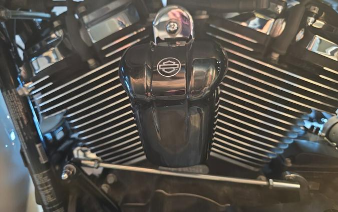 FLTRXS 2020 Road Glide® Special