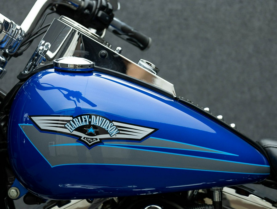 2007 HARLEY DAVIDSON FLSTF FAT BOY