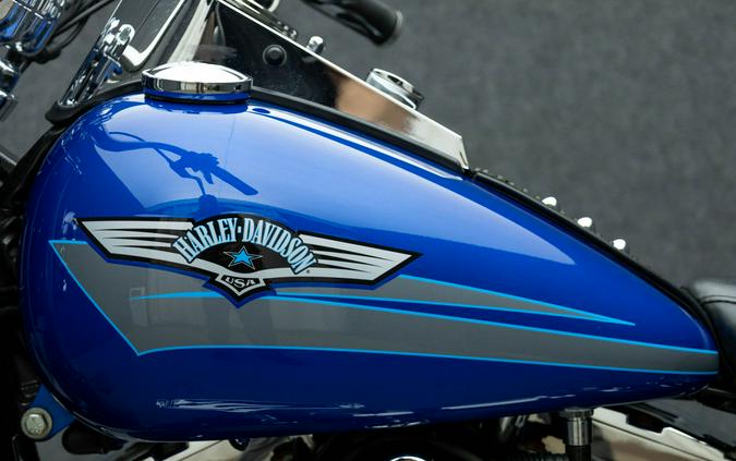 2007 HARLEY DAVIDSON FLSTF FAT BOY