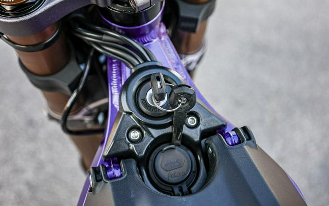 2026 SURRON LIGHT BEE X