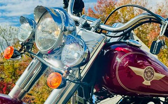 2005 Harley-Davidson FLSTF/FLSTFI Fat Boy®