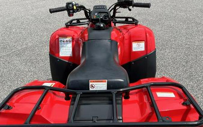 2020 Honda® TRX250TE