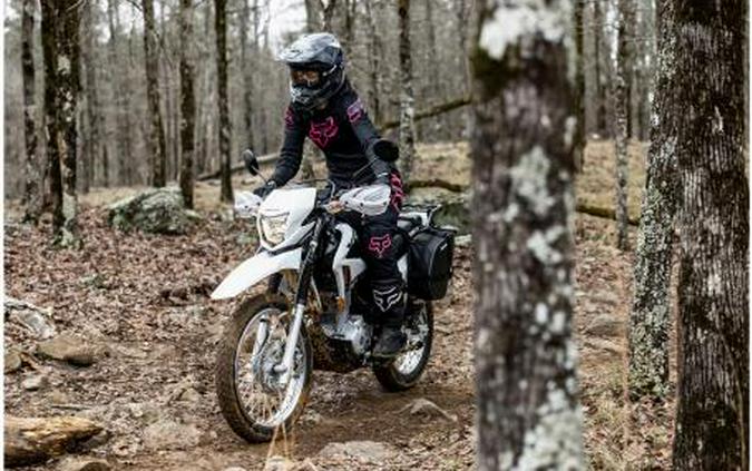 2023 Honda XR150L Review [11 Fast Facts: Street and Dirt]