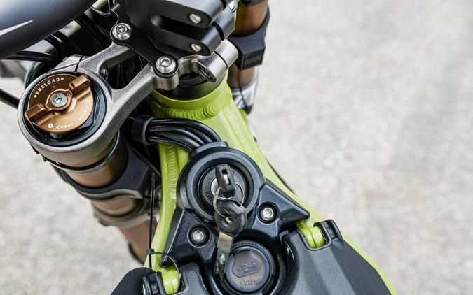 2026 SURRON LIGHT BEE X