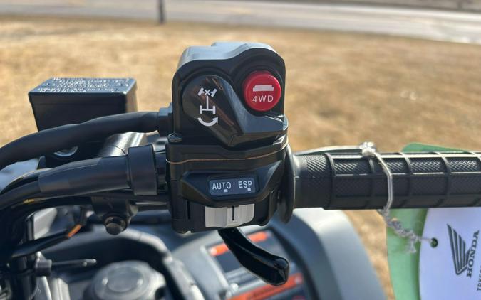 2026 Honda FourTrax Foreman Rubicon 4x4 Automatic DCT EPS Deluxe