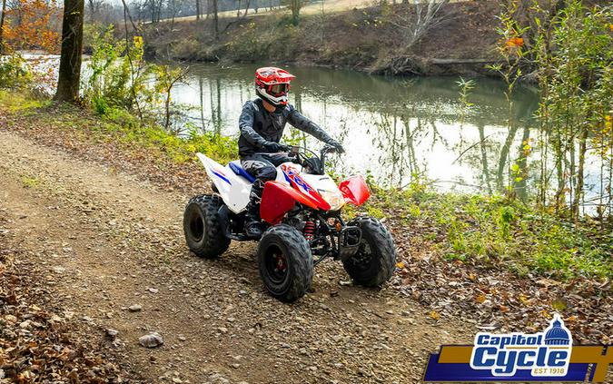 2026 Honda® TRX250X