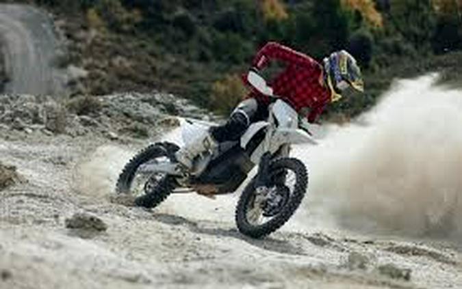 2025 Stark VARG ALPHA 80HP