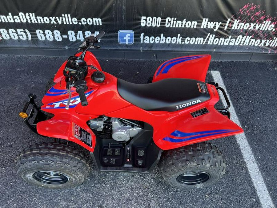 2024 Honda® TRX90X