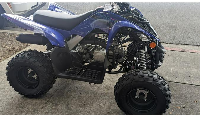 2024 Yamaha Raptor 110