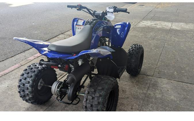 2024 Yamaha Raptor 110