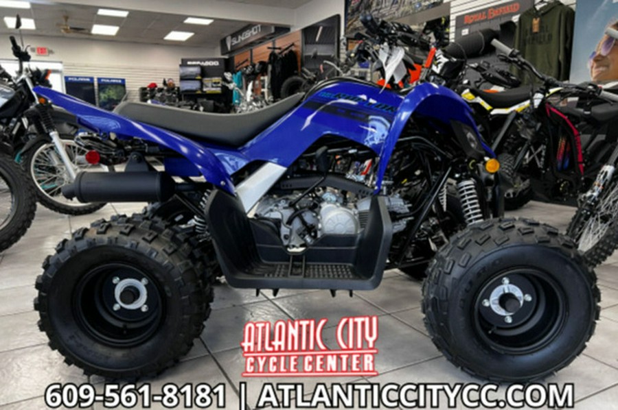 2025 Yamaha Raptor 110