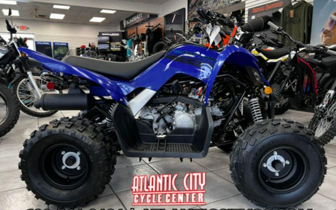2025 Yamaha Raptor 110