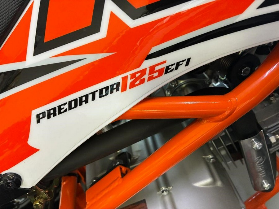 2025 Kayo Predator 125 EFI
