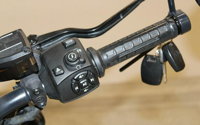 Used 2022 Harley-Davidson Sportster S RH1250S Motorcycle For Sale In Miami, Florida