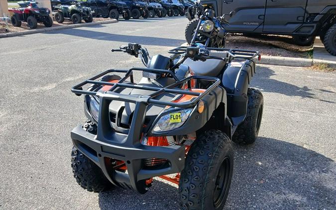 2026 Kayo Bull 150 EFI