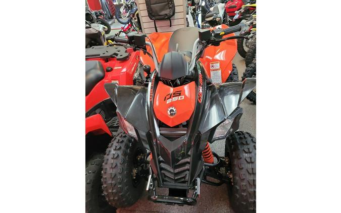 2024 Can-Am 3JRA ATV DS 2X4 250-4ST