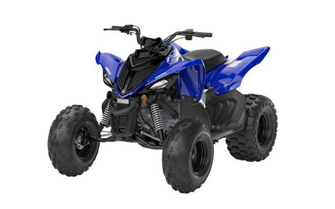 2026 Yamaha Raptor 110