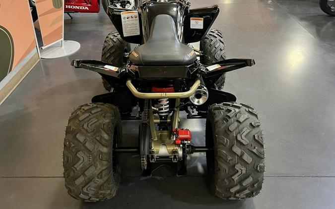 2025 Denago Powersports Daytona 250 FI