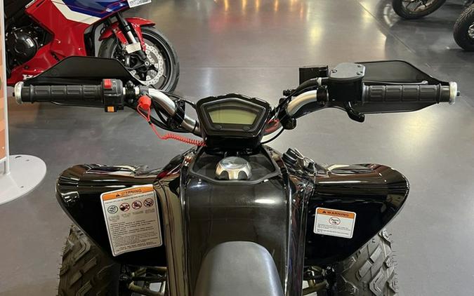 2025 Denago Powersports Daytona 250 FI
