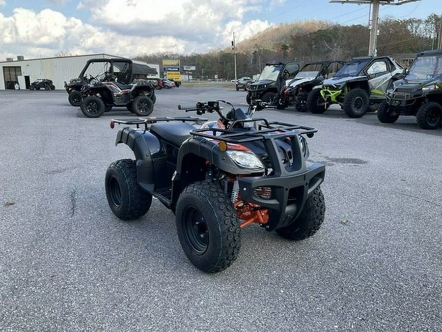 2026 Kayo Bull 150 EFI