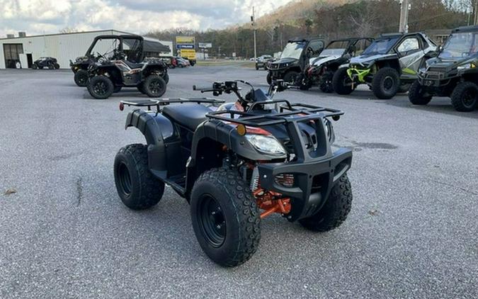 2026 Kayo Bull 150 EFI