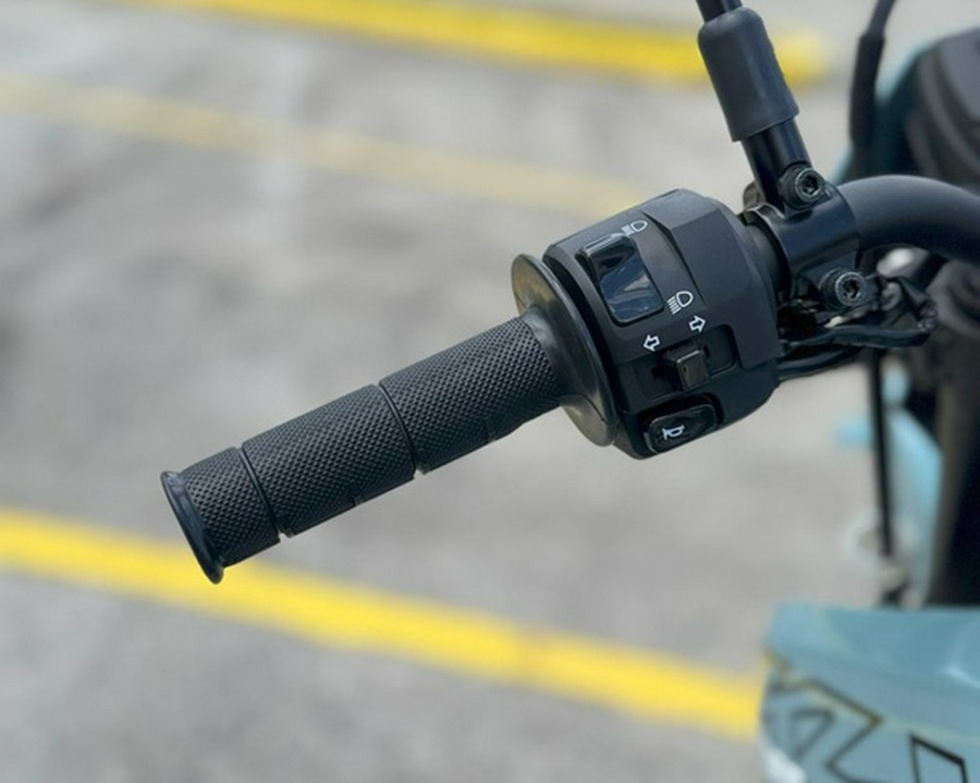 2025 Kawasaki KLX 300SM