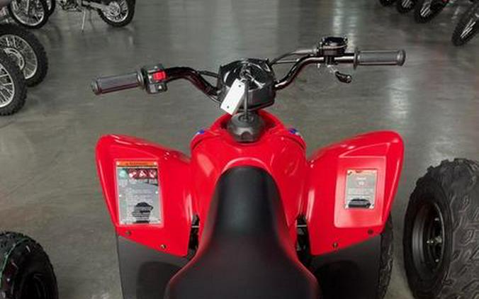 2024 Honda® TRX90X