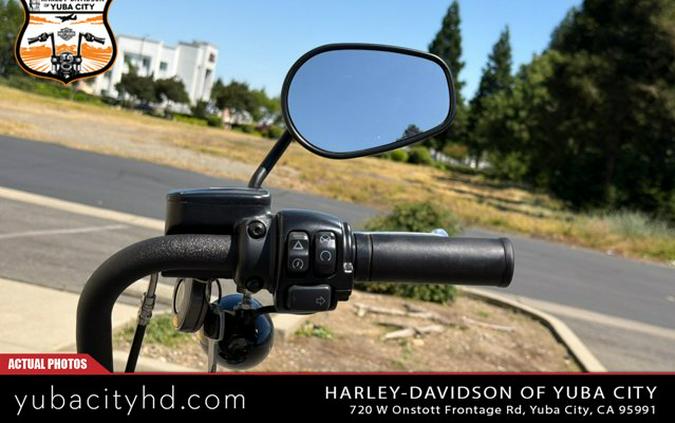 2019 Harley-Davidson Street Bob