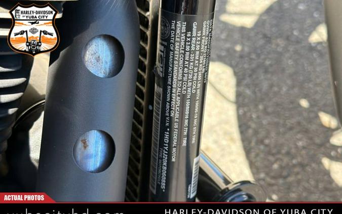 2019 Harley-Davidson Street Bob