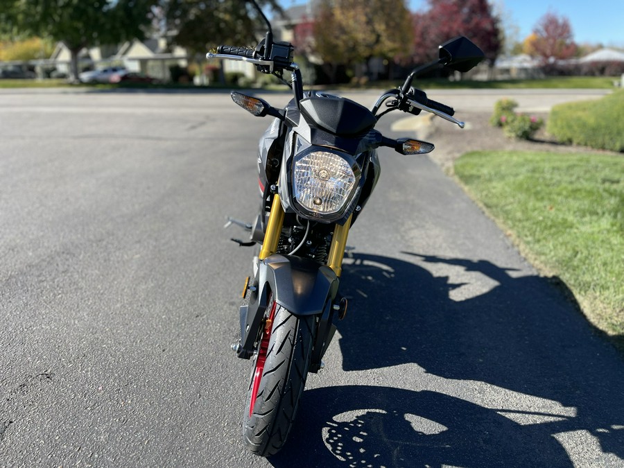 2024 Kawasaki Z125 PRO