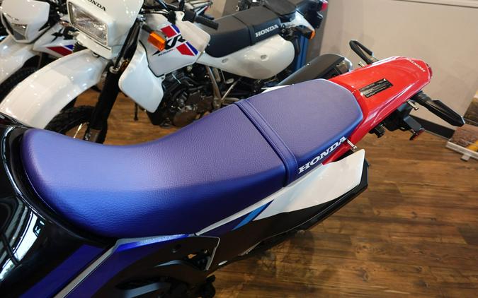 2026 Honda CRF300L Rally ABS